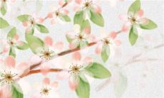 2022年12月19日商铺开张好吗 是不是黄道吉日