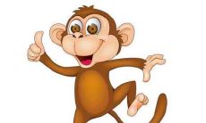 80年生肖猴人在2022年运势运程怎么样