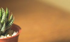 属虎小男孩名字 属虎男宝宝好名字推荐大全