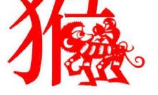 属猴最令人骄傲的优点是什么