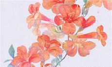 2023癸卯年2月最吉利的开业日子 开张开业黄道吉日