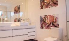 卫生间挂什么画吉利有财气