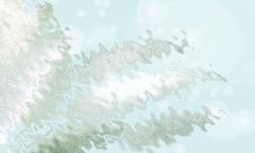 如何在办公室创造一个舒适的环境?