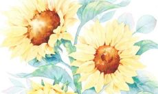 2023兔年2月开业黄道吉日一览表 吉祥营业日子