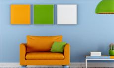 为什么卧室千万别摆仙人球 仙人球放哪招财