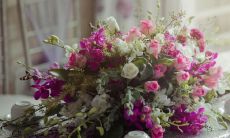 高层封闭阳台养花的诀窍是什么