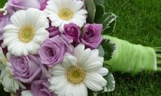 2022年3月16日是订婚大吉日子吗 今日提亲好不好