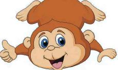 生肖猴子在2021年运势及运程分析