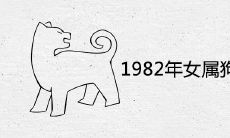1982年女属狗的最佳婚配