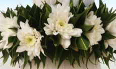 2023年2月14日情人节可以领证吗 是登记领证吉日吗