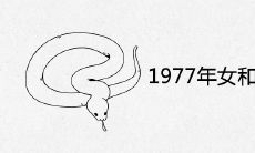 1977年女和什么属相最配