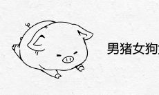 男猪女狗女旺夫吗 在一起相配吗