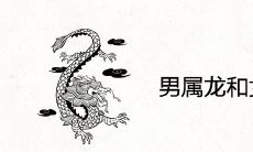 男属龙和女属马好不好 夫妻命运怎么样