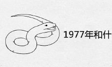 1977年和什么属相最配