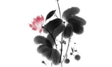 穿衣色彩攻略:2022年6月7日五行穿衣属性查询