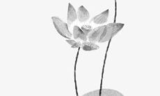 2022年6月6日芒种五行穿衣指南 今日穿衣早知道