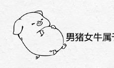 男猪女牛属于上等婚姻吗 能过一辈子吗