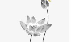 五行穿衣旺运:2022年6月5日穿衣幸运色搭配分享