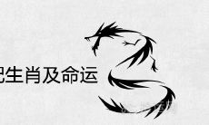 1964年属相婚配生肖及命运分析