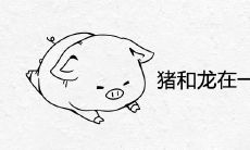 猪和龙在一起财运好吗 适不适合婚配