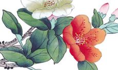 每日五行穿衣分享:2022年6月23日穿衣最佳幸运色