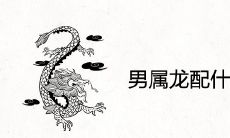 男属龙配什么最合适婚姻