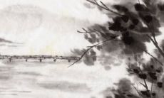 每日五行穿衣分享:2022年6月13日穿衣最佳幸运色