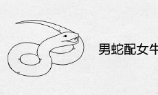 男蛇配女牛相差8岁婚姻相配吗