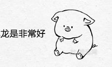 猪遇龙能化龙是非常好的意思吗 在一起结婚好不好