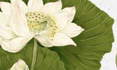 穿衣色彩攻略:2022年6月17日五行穿衣属性查询