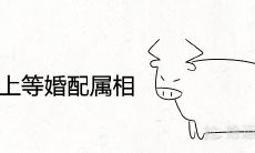 属牛女的上等婚配属相 最佳结婚生肖