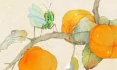 2023年哪些生肖运气好 好运加持顺风顺水