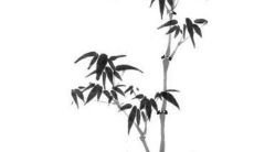 2023年属牛人的幸运色 大展宏图保持平静