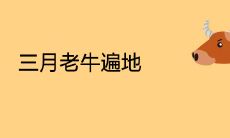 三月老牛遍地走什么意思 2021年出生的属牛人怎么样