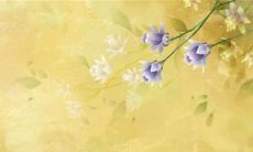 2023年属兔本命年有灾吗 本命年健康运