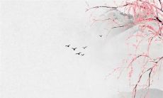 2022年虎本命年怀孕2023年生 平安顺利未来可期