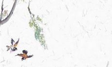 2023年运气最旺的三大生肖 事事顺利高枕无忧