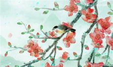 2023年遇见命中正缘生肖 白头偕老共度余生