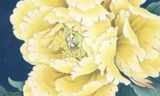 2023年什么属相结婚最好 甜甜蜜蜜共度余生