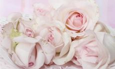 2022年11月29日是结婚吉利日子吗 农历十一月初六举办婚礼怎么样