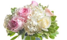 2023年3月9日领证日子好吗 是不是吉利的登记日期