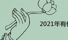 2021年有什么重要事件