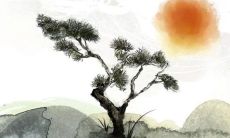 2023年阴历二月最吉利的领证日子 宜领证黄道吉日