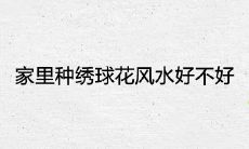 家里种绣球花风水好不好 寓意不吉利吗