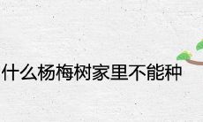 为什么杨梅树家里不能种 可以种在大门口吗