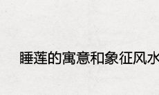 睡莲的寓意和象征风水是什么 可以旺财旺宅吗