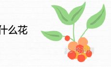 家里忌讳养什么花不利风水