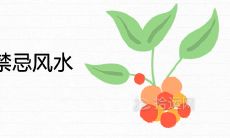 家里养红掌的禁忌风水讲究