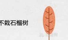 为什么房前不栽石榴树 有哪些风水讲究