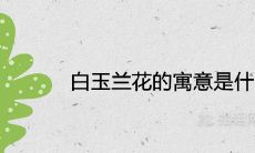 白玉兰花的寓意是什么 象征着什么意思